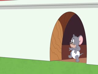 The Tom and Jerry Show (Phần 2) Tập Tập 41