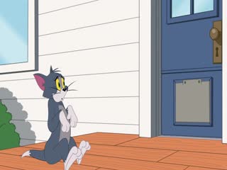 The Tom and Jerry Show (Phần 2) Tập Tập 52