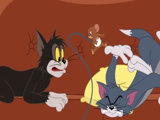 The Tom and Jerry Show (Phần 2) Tập Tập 46