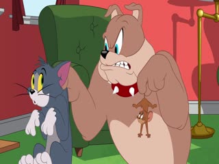 The Tom and Jerry Show (Phần 2) Tập Tập 71