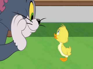 The Tom and Jerry Show (Phần 2) Tập Tập 65