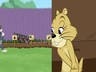 The Tom And Jerry Show (Phần 3) Tập Tập 63