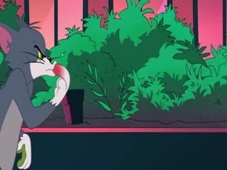 The Tom And Jerry Show (Phần 3) Tập Tập 62